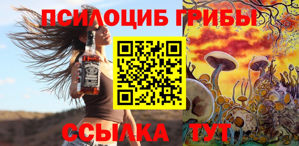 где найти наркотики  Псилоцибиновые грибы GOLDEN TEACHER  Вход с VPN  Новочеркасск  Псилоцибиновые грибы мухоморы 