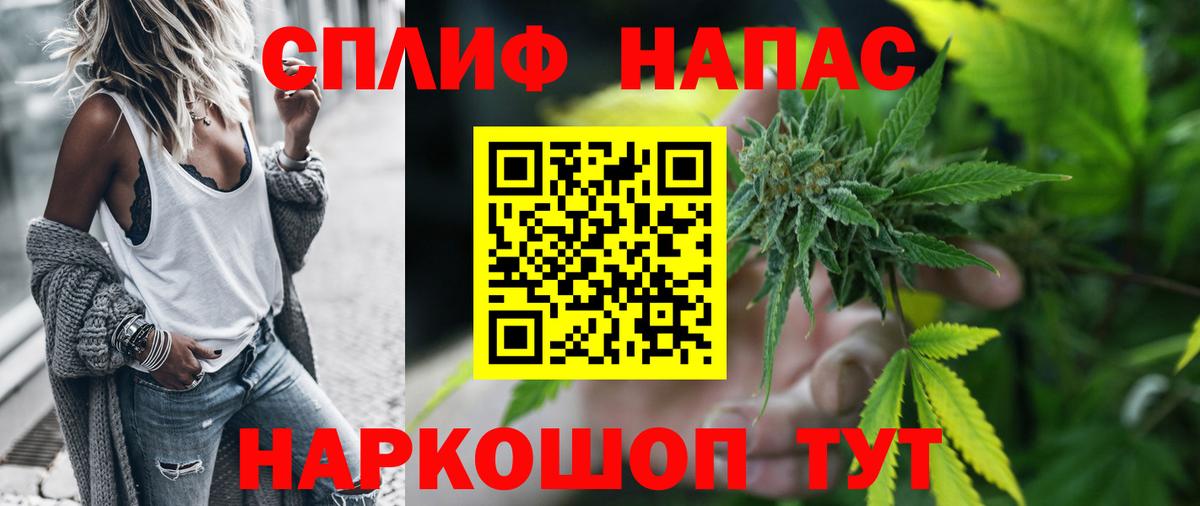 Марихуана сатива Новочеркасск